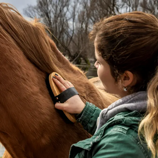 Balade à poneys_Villeneuve-lez-Avignon