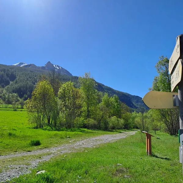 Trail : Le plan - le village_Allos