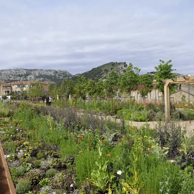 Parc de la Jarre - Ville de Marseille