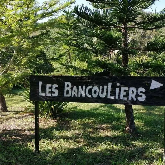 Camping - Les Bancouliers de Farino_Farino