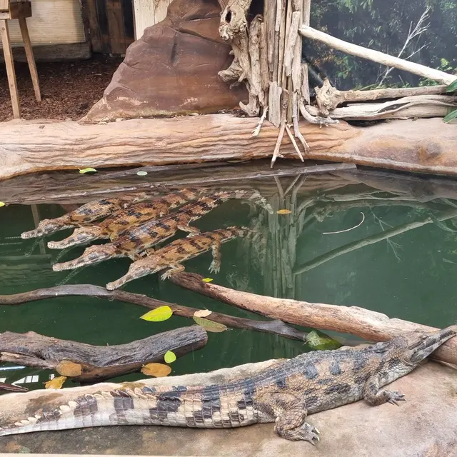 Salle de séminaire à la Ferme aux Crocodiles_Pierrelatte