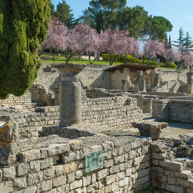 Le parc archéologique de Vaison-la-Romaine_Vaison-la-Romaine