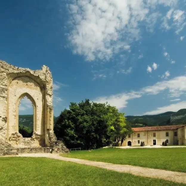 Couvent des Carmes et vestiges du château delphinal