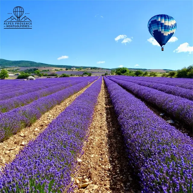 Alpes Provence Montgolfières_Forcalquier