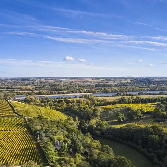 Destination Vignobles