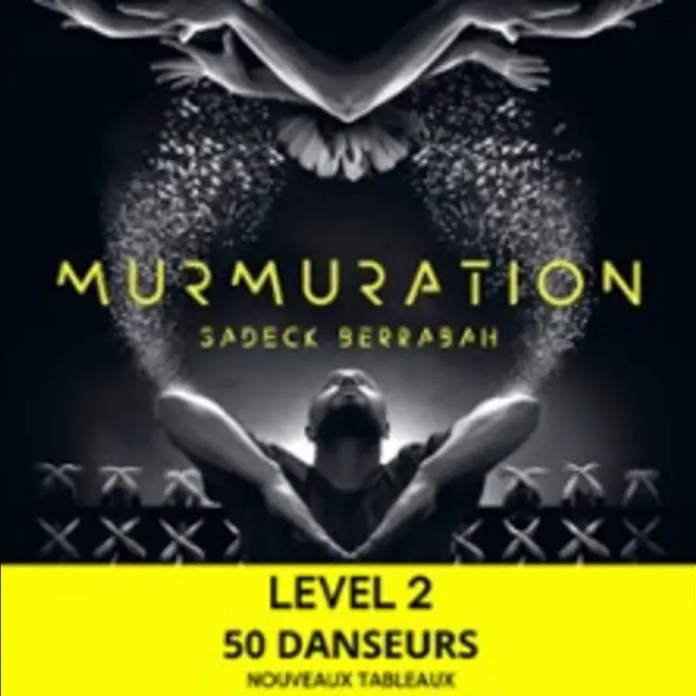 Murmuration Level 2_Marseille