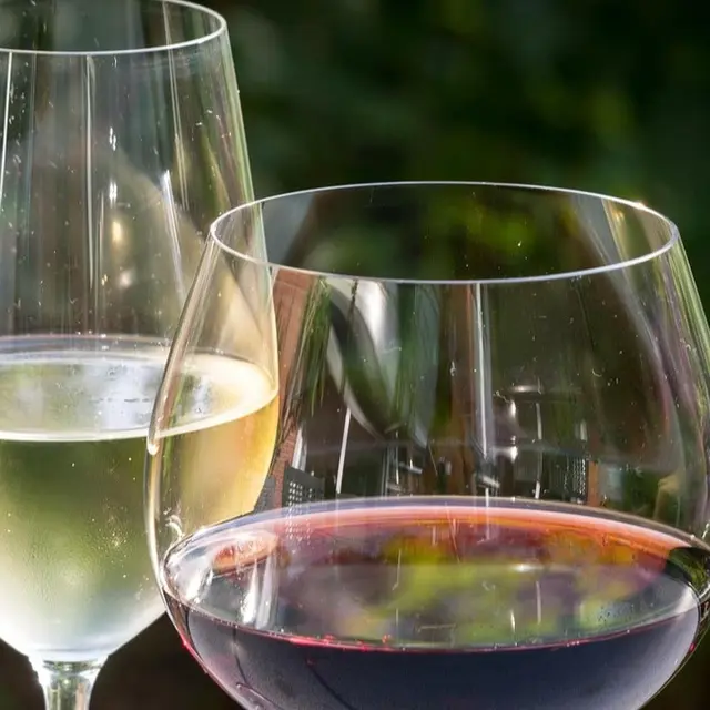 Lancement du vin primeur BIO_Ramatuelle