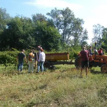 Domaine des Oliverons - Carcès