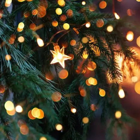 Marché de Noël à La Javie_La Javie