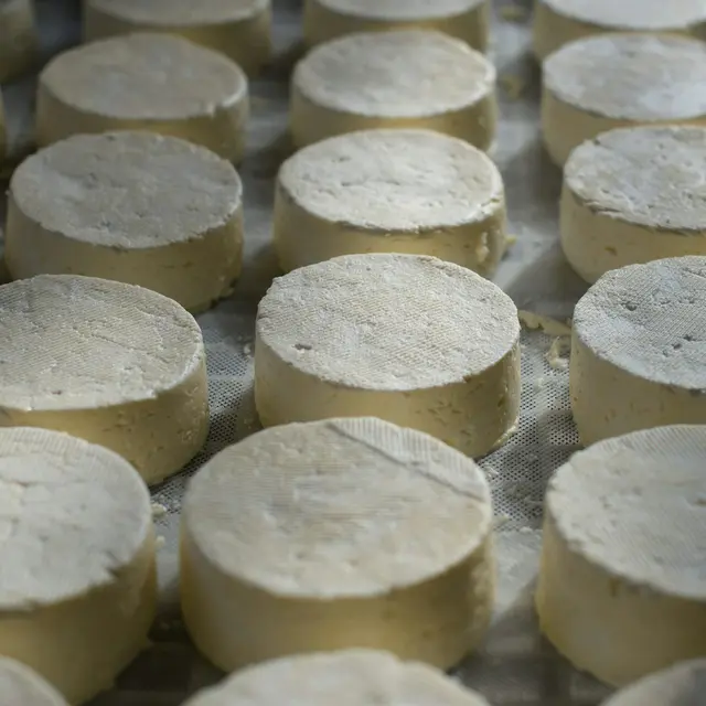 Atelier du lait au fromage_Bellevaux