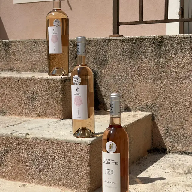 Dégustation accords vins fromages_Les Arcs sur Argens