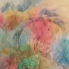 Exposition - Elisabeth Durandin_Montauban