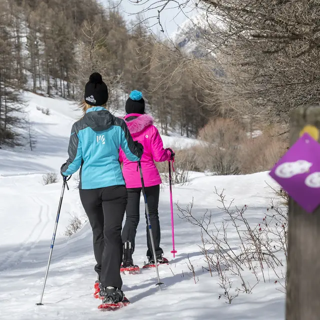 Itinéraire raquettes Piste du bois de la Silve