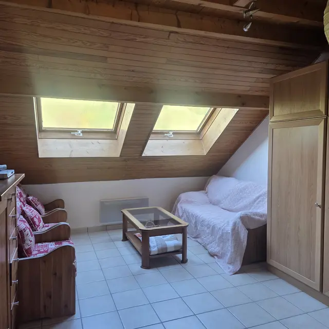 Espace salon - Studio Duplex n°127 - Le Colombier - Mme Kappler_Aillon-le-Jeune