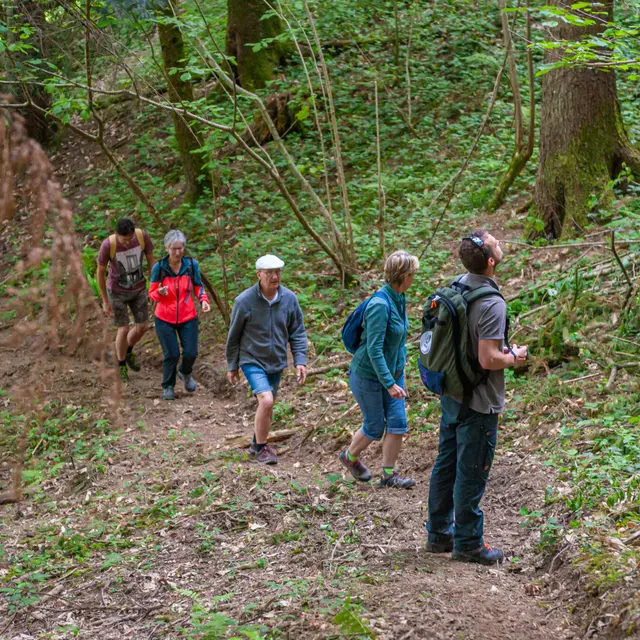 Les Fêtes de la Chartreuse - Visite de la forêt vitrine Sylv’acctes_Entre-deux-Guiers