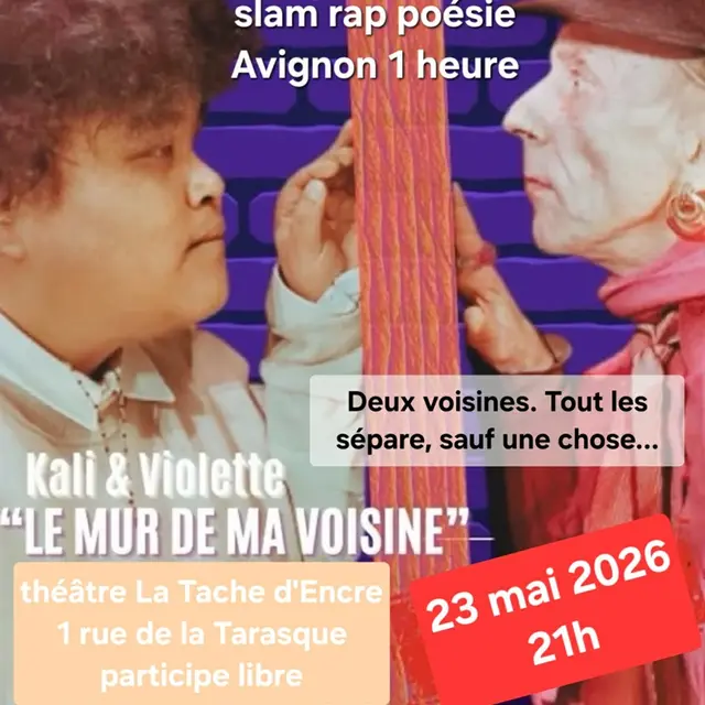 Le mur de ma voisine_Avignon