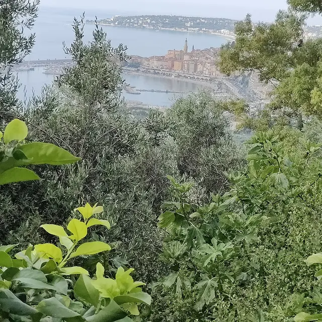 Randonnée urbaine et halte dans une exploitation agricole_Menton
