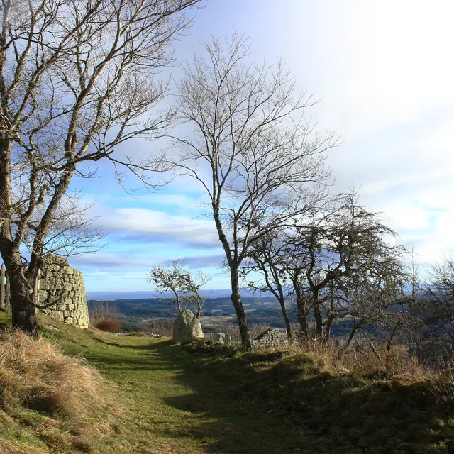 Des archers au marais