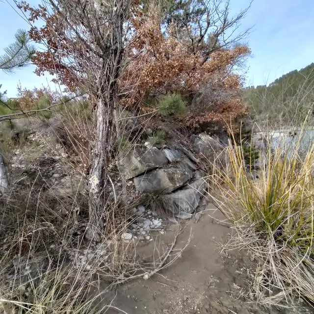 La Barque de Saléon