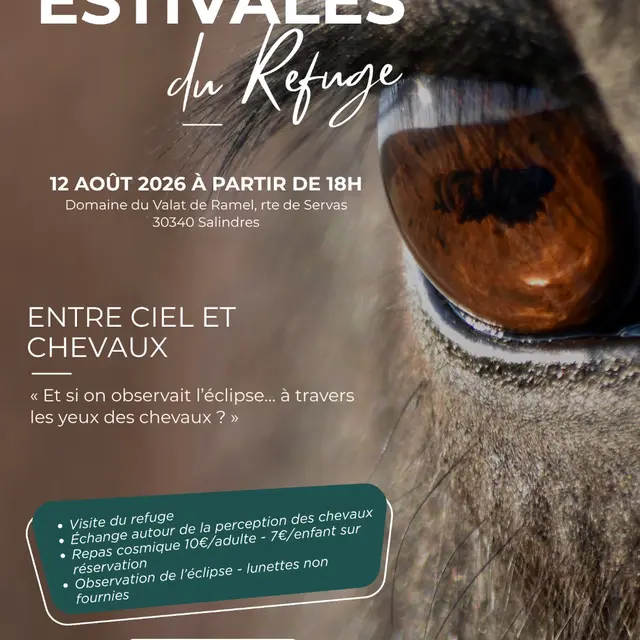 Entre ciel et Chevaux