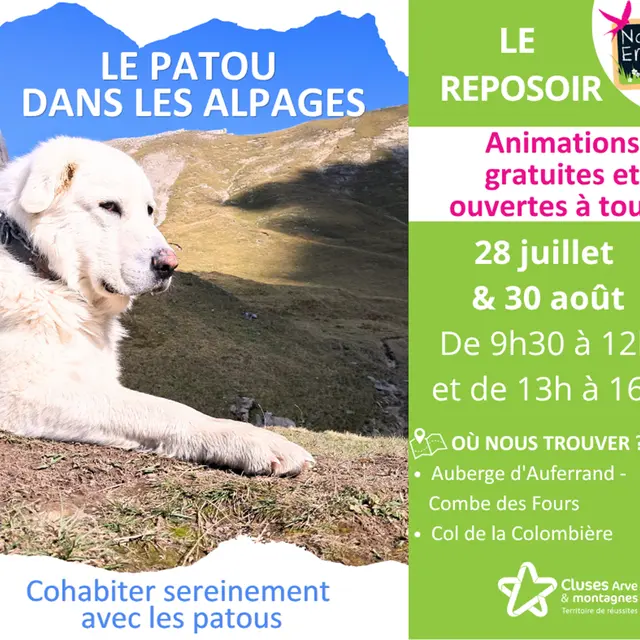 Sensibilisation des randonneurs face aux chiens de protection - Le Reposoir_Le Reposoir
