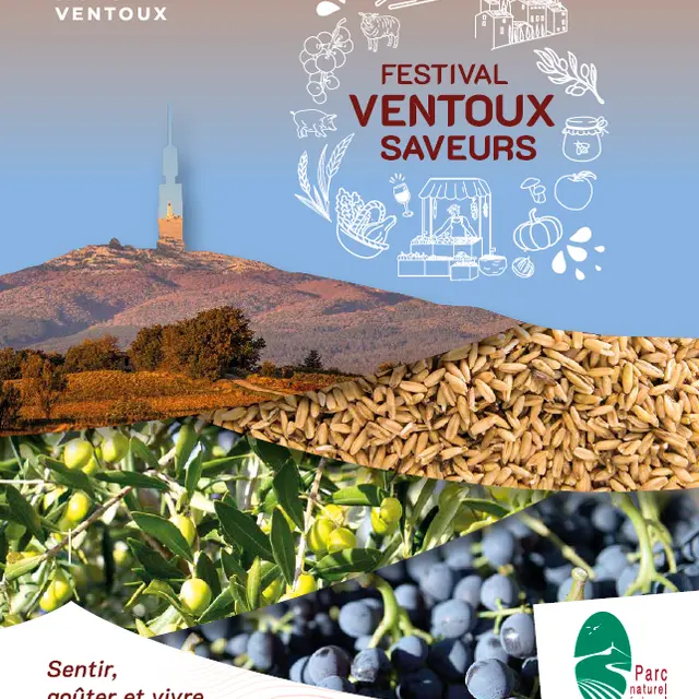 Balade vigneronne gourmande_Bédoin