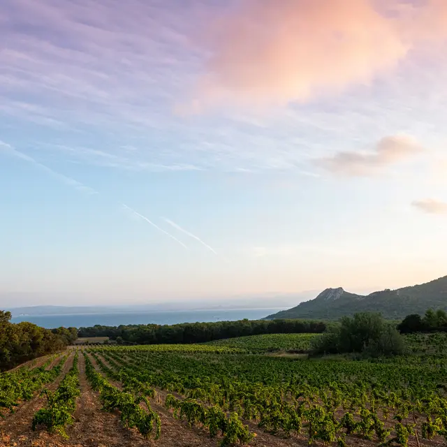 Domaine de l'île de porquerolles
