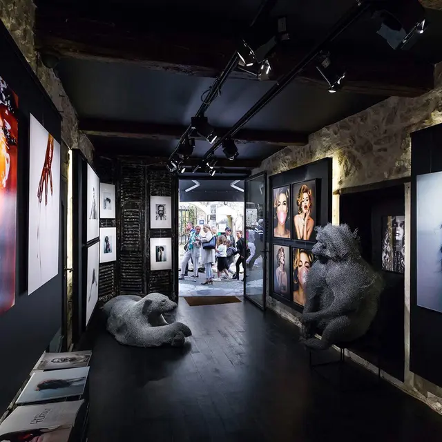 ODD Gallery