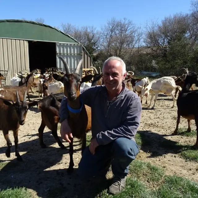 Ferme Les Tilleuls à Peipin