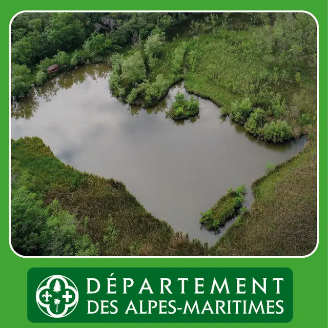 Balade Découverte  Nos amies, les zones humides _Villeneuve-Loubet