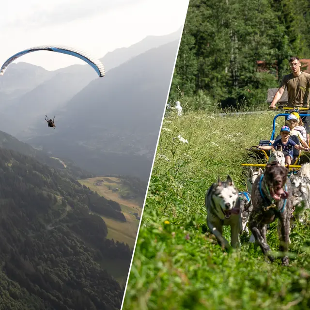 Parapente & Chiens de traîneau/Cani-Kart_Champéry