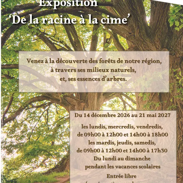 Exposition De la racine à la cime_La Chapelle-d'Abondance