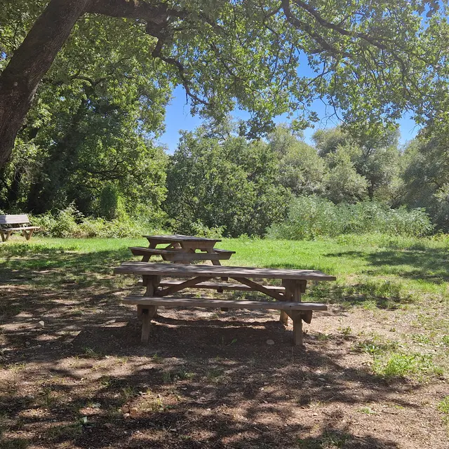 Aire de pique-nique du Barrasson à Saint-Auban_Château-Arnoux-Saint-Auban