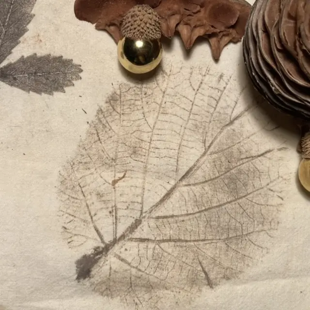 Atelier Tataki Zomé · Impressions végétales japonaises_Avignon