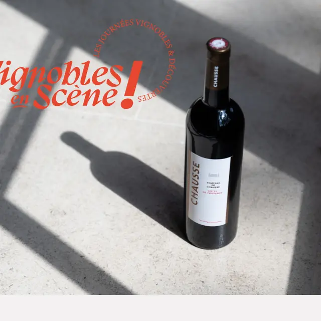 Verticale de rouges au chateau de Chausse_Gassin
