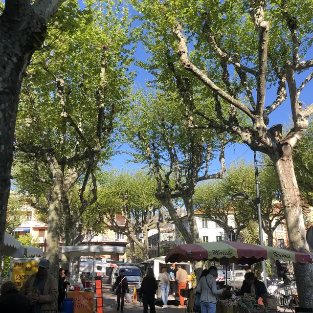 Place du Grand Jardin_Vence