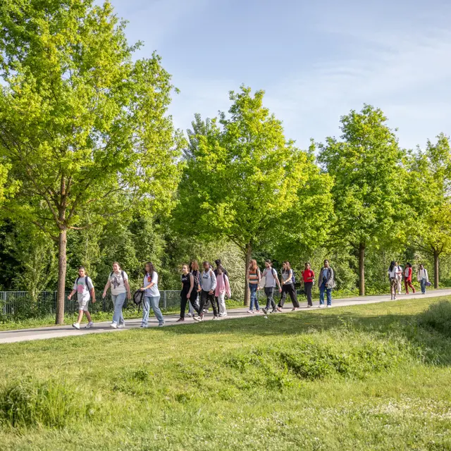 Evènement - Bel été à L'Île-Saint-Denis_L'Île-Saint-Denis