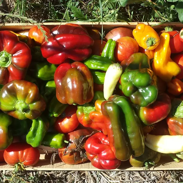 La Ferme le Bastidon à Ansouis.