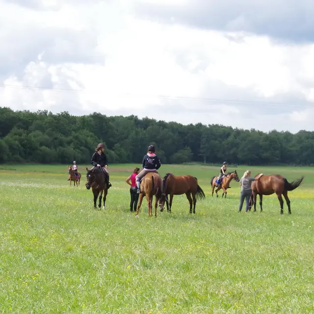 Randonnée équestre