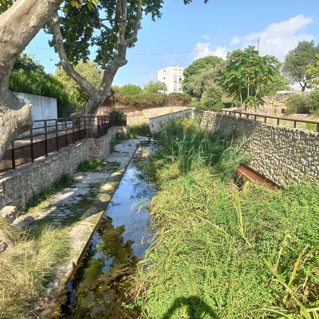 Site archéologique de Tholon_Martigues
