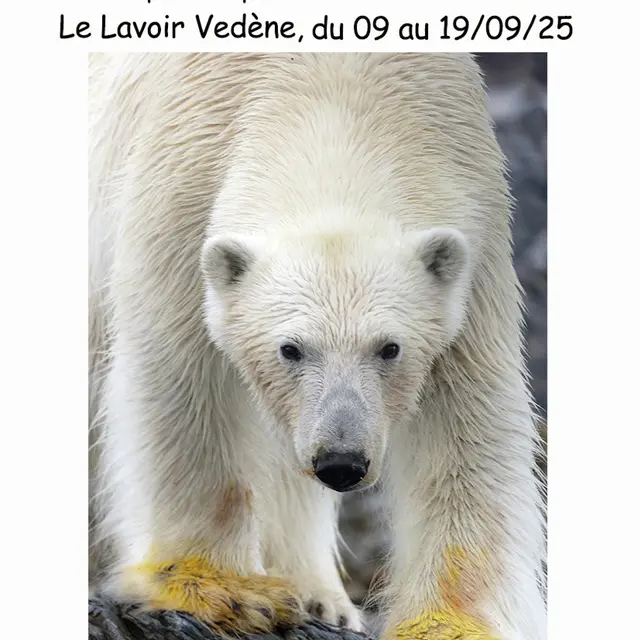 Exposition de photographies de David Allemand_Vedène