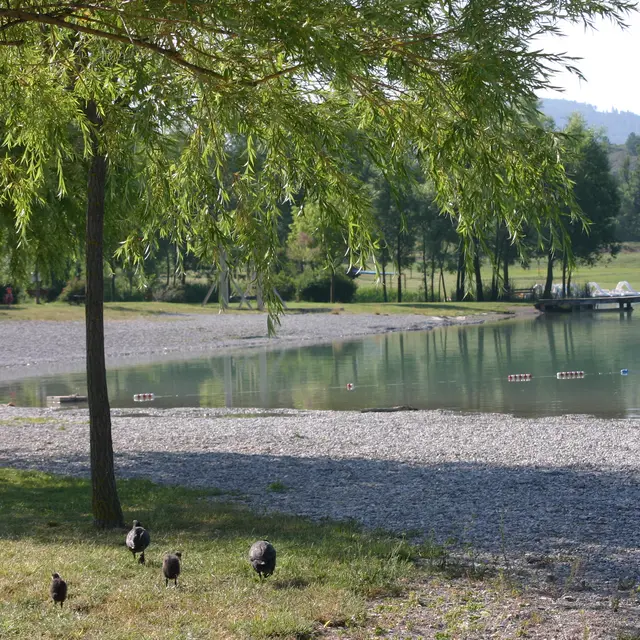 Site de pêche du lac du Riou