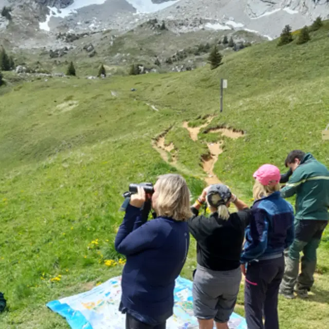 Les techniciens sortent de leur Réserve… des Bauges ! - parcours famille_École