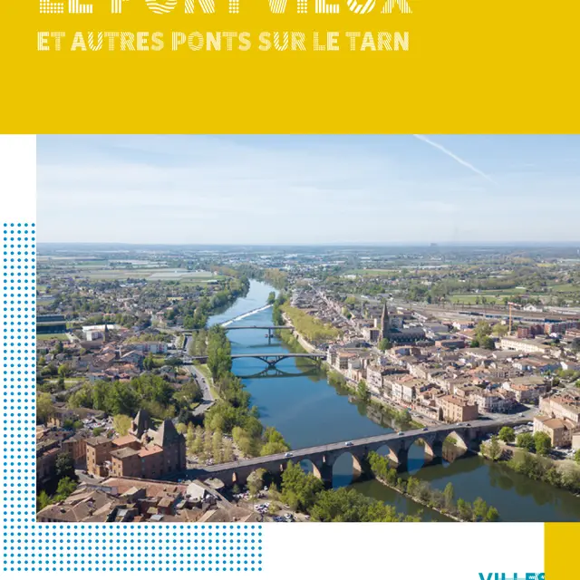 Focus Pont vieux_Montauban