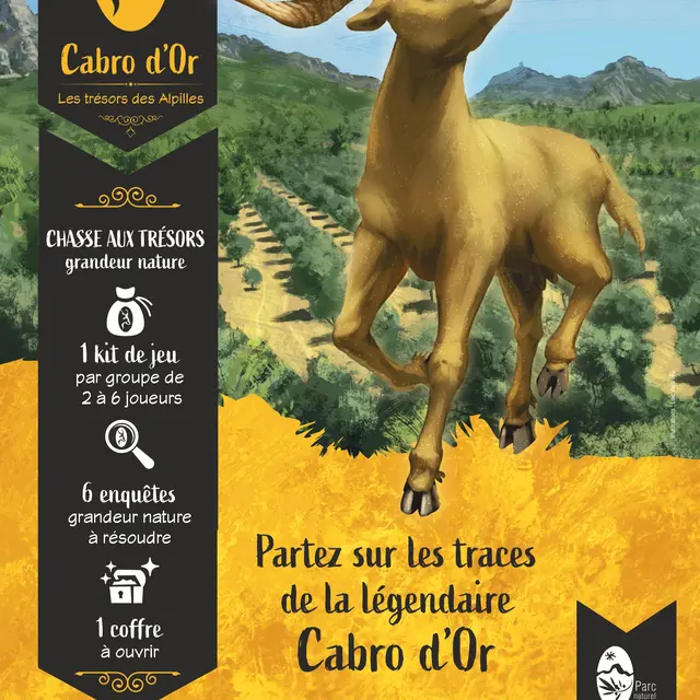 Sortie jeu : A la recherche de la Cabro d'Or_Orgon