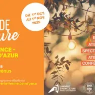 Festival Brin de Culture