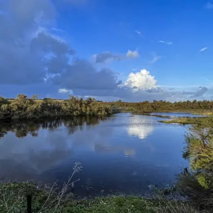 Sortie « Entre les marais et leurs secrets »