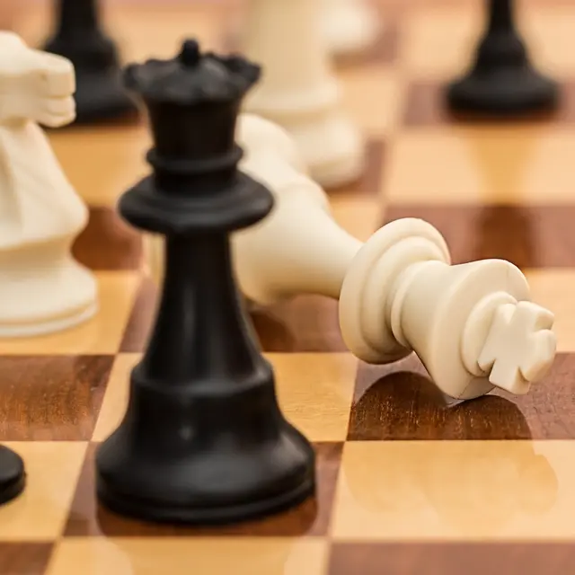 Séance d'échecs avec  l'association échiquier montluçonnais_Montluçon