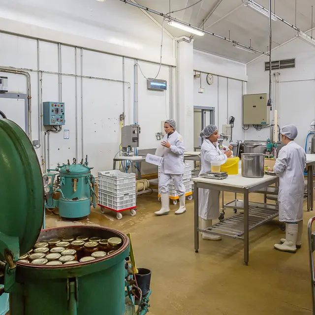 Halle technologique
