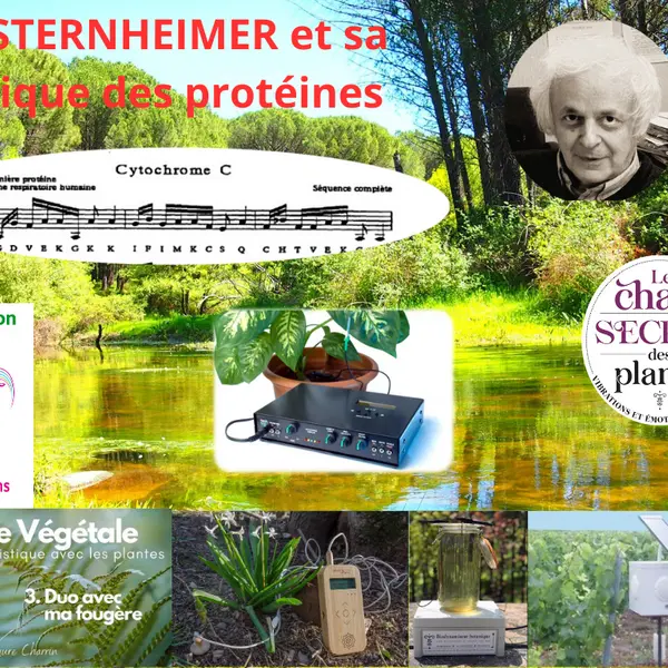 Découverte de la musique par les plantes_Saint-Pierre-d'Entremont